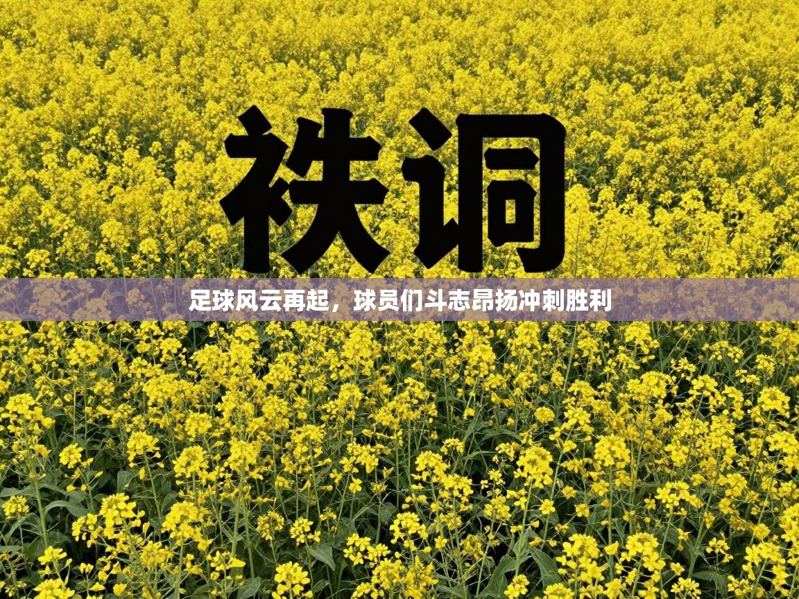 足球风云再起,球员们斗志昂扬冲刺胜利 第1张